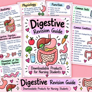 Könnte beinhalten: Ein Lernposter für Pflegestudierende zum Verdauungssystem mit Illustrationen von Magen, Leber und Darm, ergänzt durch Textfelder zu Anatomie, Physiologie, Funktionen sowie häufigen Erkrankungen und medizinischen Tests im Verdauungstrakt.