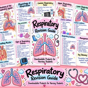 May include: A collection of educational study sheets titled Respiratory Revision Guide for nursing students, featuring colourful illustrations of lungs, a stethoscope, and medical diagrams detailing respiratory anatomy, physiology, and conditions.