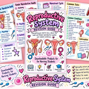 Könnte beinhalten: Ein Lernleitfaden für das Fortpflanzungssystem mit lehrreichen Diagrammen zur männlichen und weiblichen Anatomie, Hormonzyklen, häufigen Erkrankungen und Testmethoden. Das farbenfrohe Lernmaterial enthält Text, Symbole und Illustrationen für Studierende.
