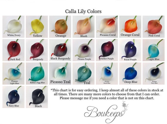 Calla Lily Color Chart
