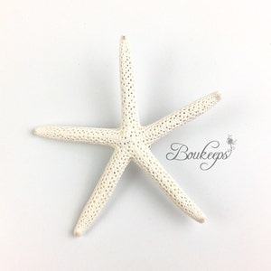 White Starfish Boutonniere, White Finger Starfish Boutonniere, Beach Wedding, Destination Wedding, Groom, Ringbearer, Seashell, Shell