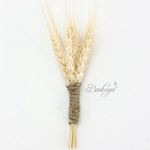 CHOOSE RIBBON COLOR - Wheat Boutonniere, Dried Wheat Boutonniere, Farmhouse Boutonniere, Country Wedding, Farmhouse Wedding, Buttonhole