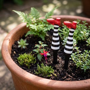 May include: Two garden stakes shaped like legs wearing red shoes and black and white striped stockings. The stakes are inserted into the dark soil of a large terracotta planter filled with various small green plants and a single fuchsia flower.