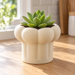 May include: A light cream-coloured ceramic planter with a rounded, scalloped top edge and a cylindrical base, containing a green succulent plant potted in dark soil. The planter features a subtle, fine-lined texture across its entire surface.