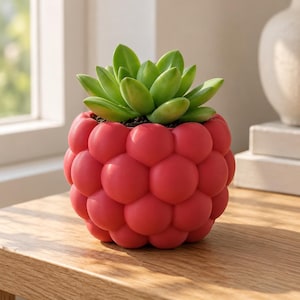 May include: A succulent plant potted in a round, red planter shaped like a raspberry. The planter features a textured, bumpy surface resembling the individual drupelets of a berry, while the succulent has smooth, pointed green leaves.
