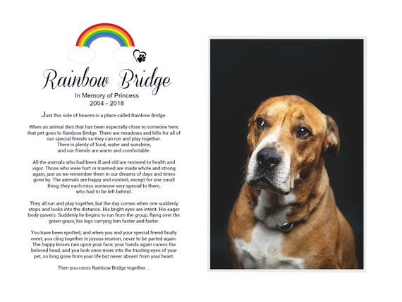 Rainbow Bridge A Song For My Dog Rainbow Bridge Pet Memorial
