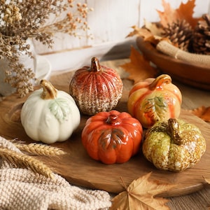 Può includere: Una collezione di cinque zucche in ceramica di vari colori, tra cui bianco, arancione e verde. Ogni zucca presenta una finitura lucida, un gambo scolpito e dettagli a foglia in rilievo. Le zucche sono disposte su una superficie di legno testurizzata.