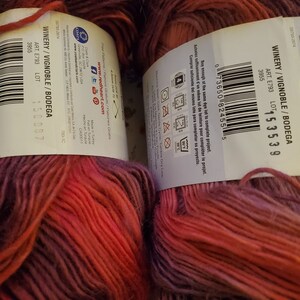 Red Heart Unforgettable Waves Aurora Yarn, 125 Yd. 