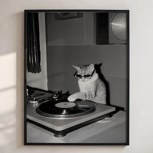 May include: A black and white framed wall art print featuring a cat wearing dark sunglasses, standing at a turntable and placing a paw on a vinyl record. The cat is positioned behind the record player, which is set on a flat surface.