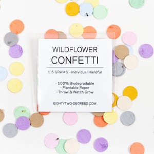 Confeti de semillas de flores silvestres en miniatura de varios colores: para plantar