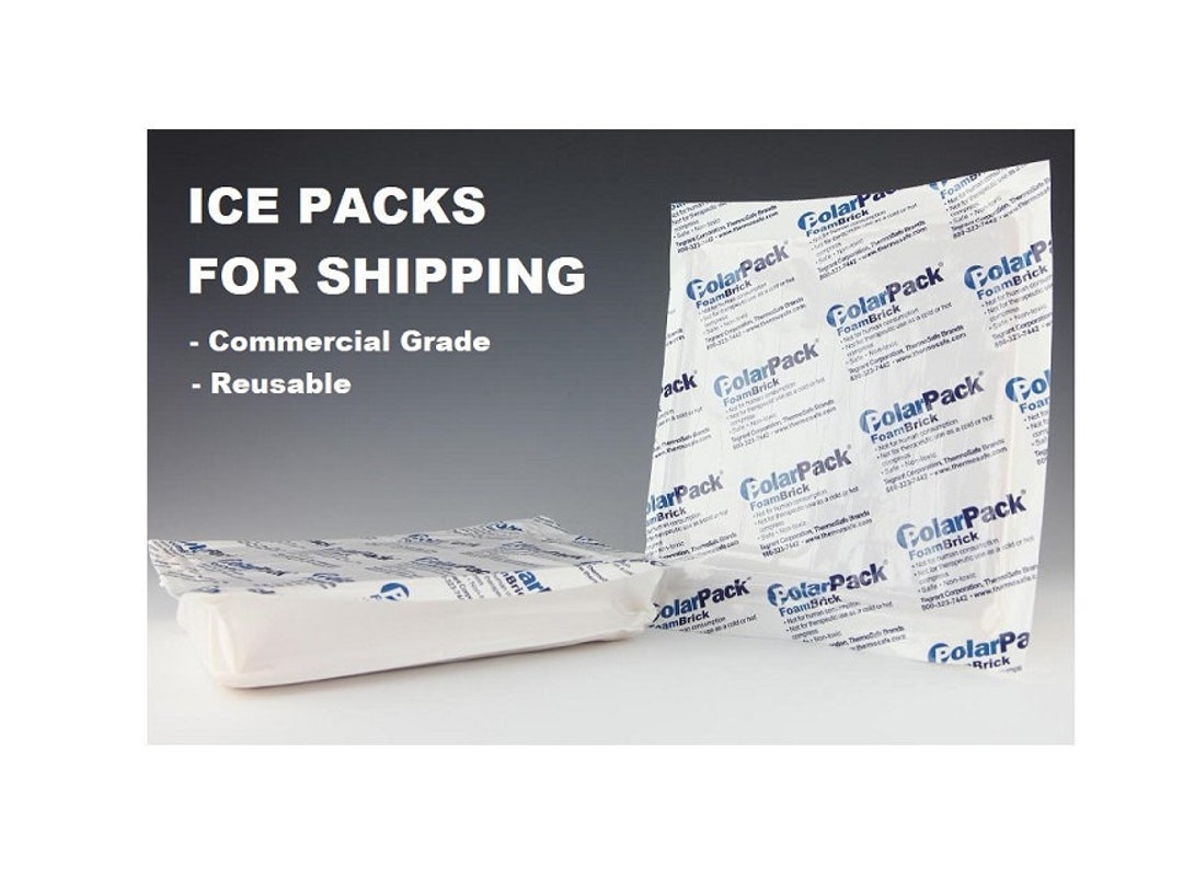 Reusuable ICE PACK for SHIPPING Chocolates Etsy