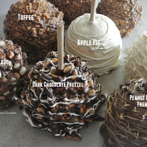 Gourmet Caramel Apple, Candy Apple, Granny Smith, Chocolate, Chocolate Apples, Wedding, Gift For, Pretzel image 1