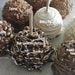 see more listings in the GOURMET CARAMEL APPLES section