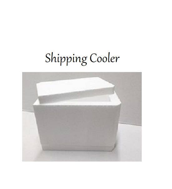 Shipping Cooler with ice pack for Chocolates
