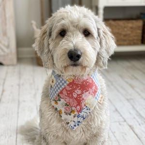 Peut inclure: Un chien au pelage crème duveteux portant un bandana triangulaire pour animal avec un motif patchwork composé de vichy bleu clair, de fleurs rouges, et de tissu blanc à imprimés floraux jaunes et roses, avec une petite étiquette rectangulaire.