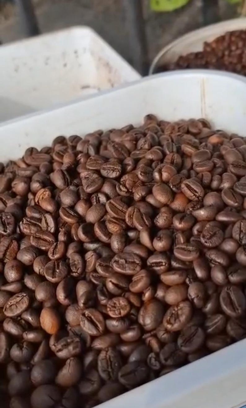 K&ouml;nnte beinhalten: Eine gro&szlig;e Menge ger&ouml;steter Kaffeebohnen mit dunkelbrauner Farbe und matter Textur, die sich in einem wei&szlig;en Kunststoffbeh&auml;lter befinden. Die Bohnen sind oval geformt, haben eine deutliche mittlere Kerbe und variieren in den Braunt&ouml;nen.