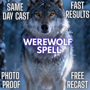 Può includere: Un lupo grigio e bianco con occhi ambrati luminosi si trova in una foresta innevata. Il testo recita: SAME DAY CAST, FAST RESULTS, WEREWOLF SPELL, PHOTO PROOF e FREE RECAST. Il lupo ha una folta pelliccia con fiocchi di neve e un'aura luminosa.