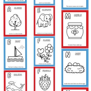Könnte beinhalten: Eine Sammlung von pädagogischen Alphabet-Lernkarten mit schwarz-weißen Strichzeichnungen von Objekten wie einem Flugzeug, der Erde, dem Mond, einem Baum, einem Elefanten, einem Boot, einer Blume, einer Biene, einem Wal, einer Erdbeere und einem Nest.
