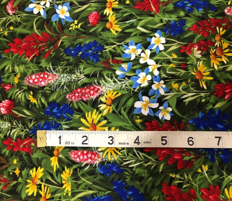 WildFlower Basics Favorites Bluebonnets and Indian Paintbrush Fabric By Sentimental Studios Best of Texas 32361 11 for Moda. image 2