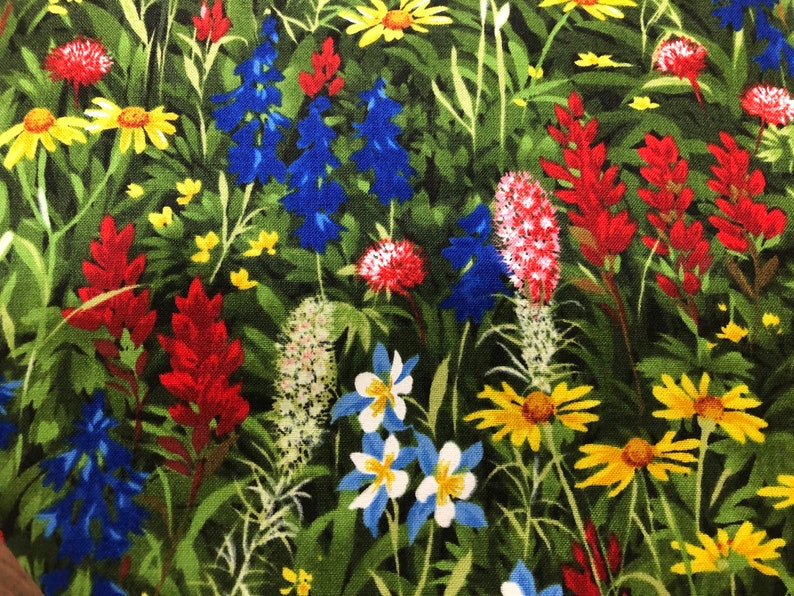 WildFlower Basics Favorites Bluebonnets and Indian Paintbrush Fabric By Sentimental Studios Best of Texas 32361 11 for Moda. image 1
