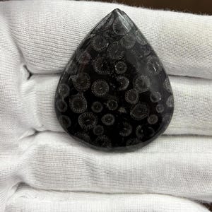 Può includere: Un cabochon in corallo fossile nero lucidato a forma di goccia, caratterizzato da un motivo distinto di strutture circolari bianche a forma di stella su tutta la superficie scura della pietra, con una finitura liscia e una base arrotondata.