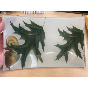May include: A rectangular glass tray featuring a printed design of two dark green oak leaves and a brown acorn. The tray has a smooth, semi-translucent surface with the text CASKATA STUDIO printed in small black letters on the bottom right corner.