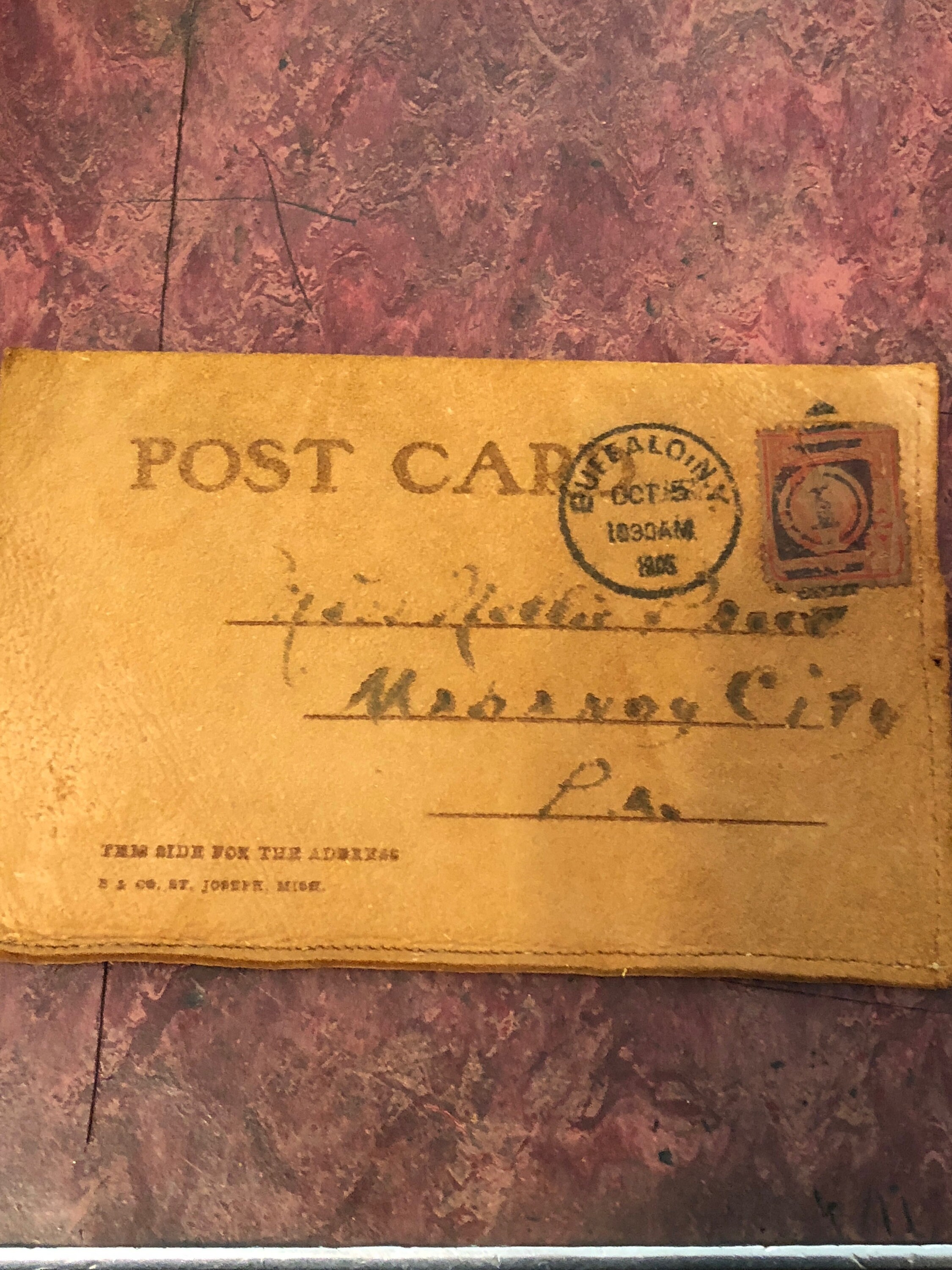 Old LEATHER POSTCARD Early 20th Century just Arrived in Buffalo