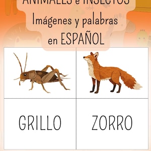 ESPAÑOL 40 tarjetas didácticas para enseñar el vocabulario de animales e insectos. 40 Animals and insects flashcards & wordcards.