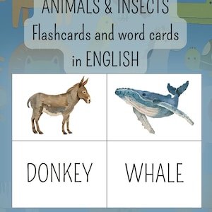 Puede incluir: Un conjunto de 40 tarjetas didácticas y de palabras imprimibles sobre animales e insectos en inglés. El diseño incluye el texto Teacher Marta, 40, printable ANIMALS & INSECTS Flashcards and word cards in ENGLISH, con ilustraciones de un burro y una ballena.