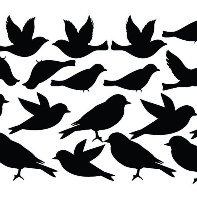 Bird Wall Decals - Etsy