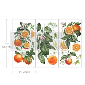 May include: A set of three rectangular panels featuring botanical illustrations of orange fruit, green leaves, and white blossoms. The panels measure 12 inches in height and 6 inches in width, displaying various arrangements of citrus branches and sliced oranges.