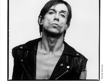 Iggy Pop Publicity Photo   8 By 10 Inches