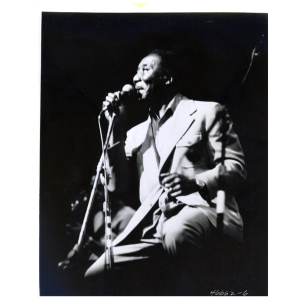 Muddy Waters Photograph