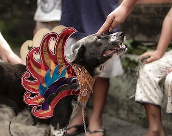 Celebrating Bali Dogs | Bali Animal Welfare Photography | Fine Art Documentary Print
