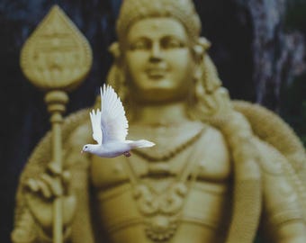 Dove Before Murugan | Batu Caves Kuala Lumpur | Fine Art Travel Photography Print