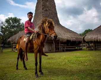 Horseman of Ratenggaro | West Sumba Photography | Documentary Fine Art Print
