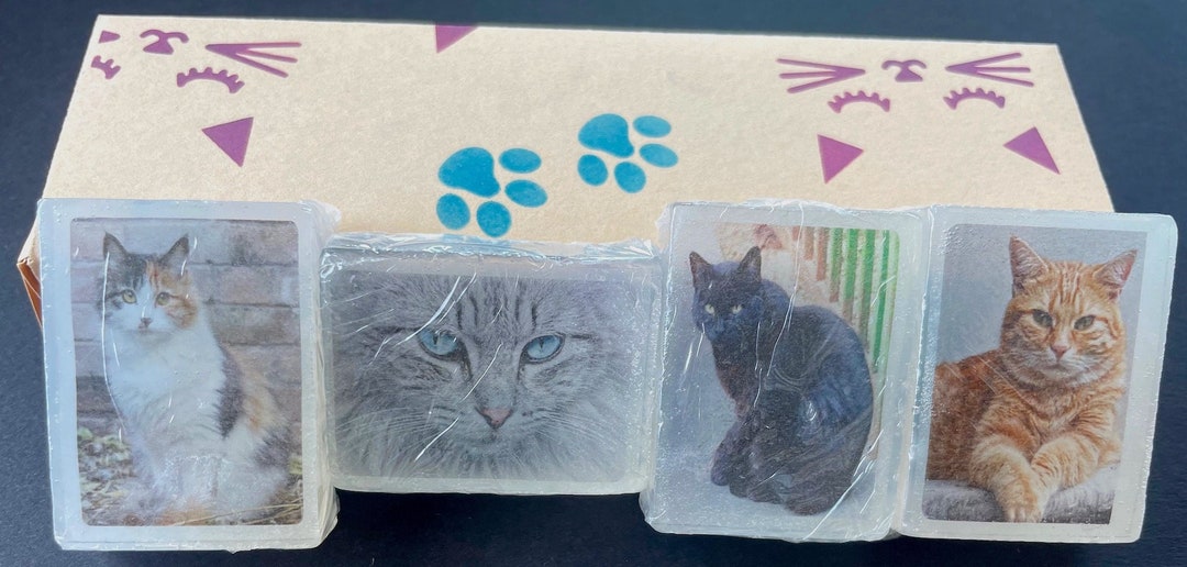 Kitten and Cat Mini Guest Soaps Set of 4 Etsy
