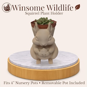 May include: A beige squirrel plant holder with a small brown pot holding a succulent plant. The squirrel is holding an acorn and is on a round, marble-like surface. The base is wood-toned. Text reads "Winsome Wildlife Squirrel Plant Holder."