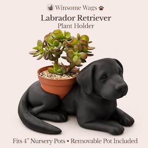 May include: A black Labrador Retriever plant holder with a small terracotta pot holding a green succulent plant. The plant holder is in the shape of a dog lying down. The text on the image reads "Winsome Wags Labrador Retriever Plant Holder".