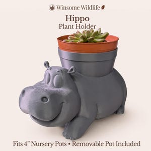 May include: A gray hippo-shaped plant holder with a smiling face, holding a small terracotta pot with a succulent plant. The text reads "Hippo Plant Holder" and "Fits 4" Nursery Pots • Removable Pot Included."