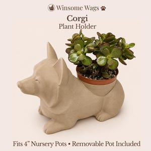May include: A beige Corgi-shaped plant holder with a smooth matte finish. The text reads Winsome Wags Corgi Plant Holder. It includes a removable pot that fits 4-inch nursery pots, shown with a green succulent plant inside the holder.