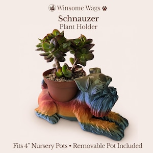 May include: A colorful Schnauzer plant holder with a small potted succulent. The holder is painted in shades of blue, orange, and yellow. The text reads "Winsome Wags Schnauzer Plant Holder". Fits 4" nursery pots.