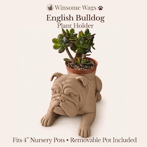 May include: A matte tan English Bulldog plant holder featuring a sculpted dog in a lying position. The holder includes a removable pot that fits 4-inch nursery pots. Text on the image reads: Winsome Wags, English Bulldog Plant Holder, Fits 4-inch Nursery Pots, Removable Pot Included.