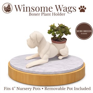 May include: A cream-colored Boxer dog plant holder with a small potted plant. The dog is lying down on a round, marble-look base with a wooden edge. The text "Winsome Wags Boxer Plant Holder" is above the dog.