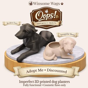 Imperfect 3D Printed Dog Planters – Discounted Cosmetic Flaws (Broken Ears, Irregular Bowl)