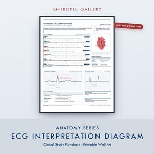 Könnte beinhalten: Ein weißes Lehrplakat mit dem Titel Systematic ECG Interpretation von Entropic Gallery. Es zeigt eine rote Herzillustration mit EKG-Linie, ein 7-Schritte-Flussdiagramm zur Auswertung, Tabellen für Normalintervalle sowie Diagramme zum Herzschlag.