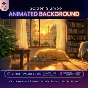 Puede incluir: Un fondo animado titulado Golden Slumber que muestra a un perro dorado durmiendo sobre un cojín azul estampado en una habitación soleada. La escena incluye una ventana con vista al atardecer, una estantería de madera, una planta y texto.