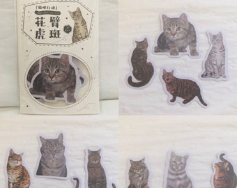 30 Short Hair Cat Stickers