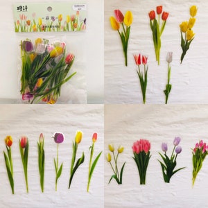40 Tulip Clear Stickers