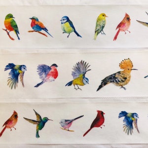 Ruban adhésif Washi Strictly Birds